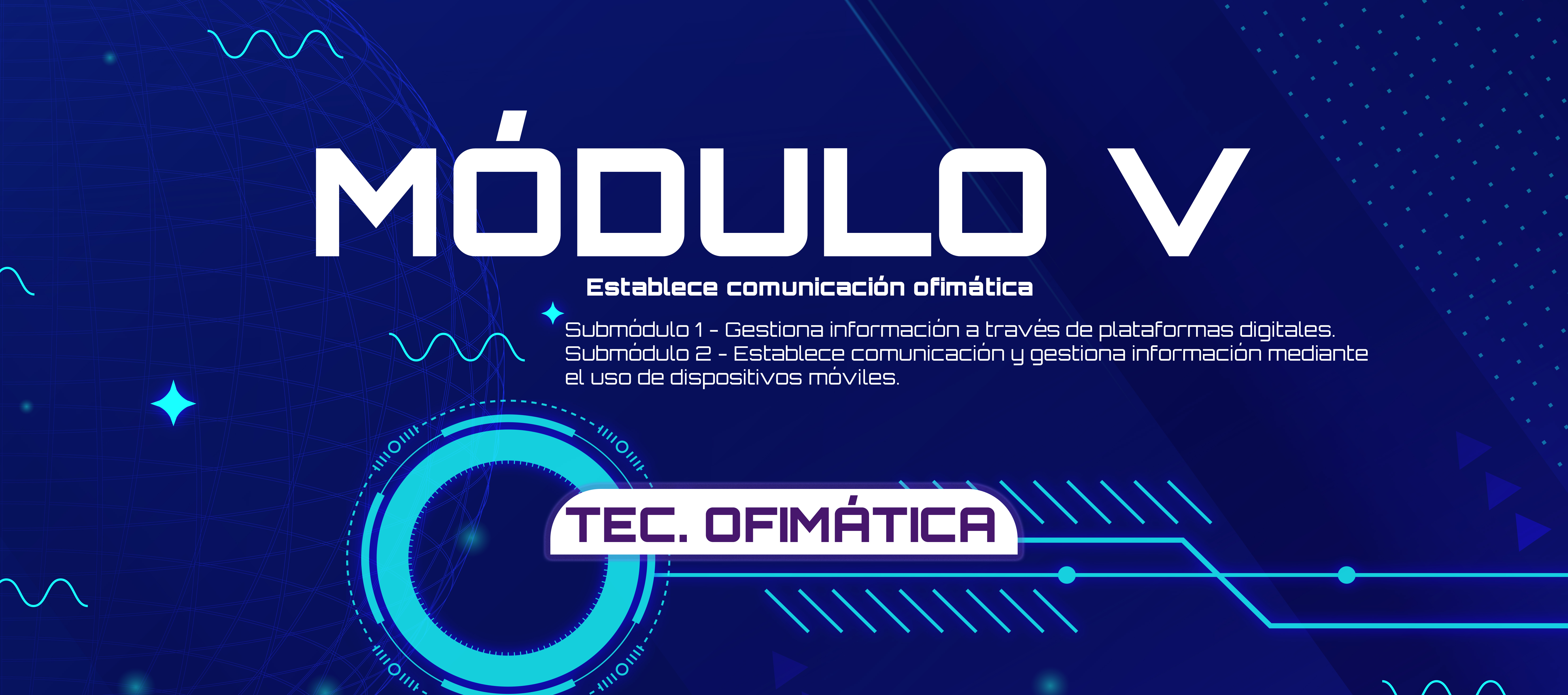 modulo v